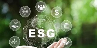 Ações em ESG norteiam investimentos e definem preferências de consumo