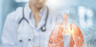 Niterra do Brasil abre chamada para startups de healthcare