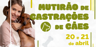 Botucatu: Prefeitura realizará mais um mutirão de castração gratuita para cães