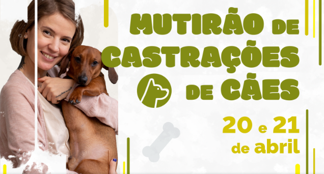 botucatu-castracao-caes-100424