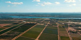 Zanlorenzi recebe R$39 mi para inovação com o apoio da Macke