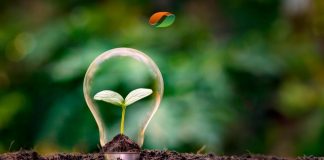 Allbiom participa do BioSummit 2024 com programação especial