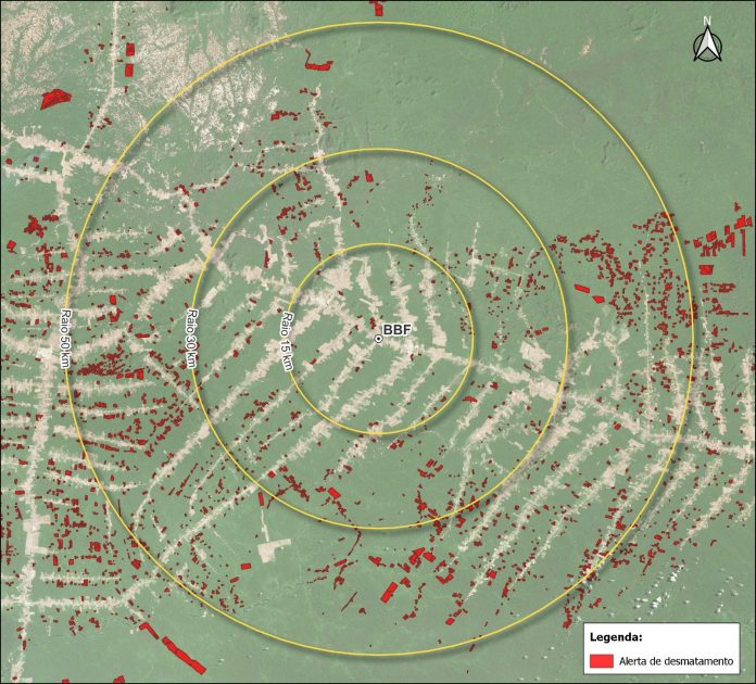 Área próxima ao Grupo BBF em Roraima tem menos desmatamento Área próxima ao Grupo BBF em Roraima tem menos desmatamento