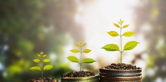 Interação entre investimentos e questões ambientais ganha notoriedade