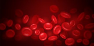 Leucemia: rápido diagnóstico é a chave para a cura da doença Leucemia: rápido diagnóstico é a chave para a cura da doença