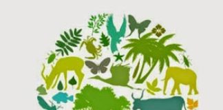 Dia Internacional da Biodiversidade é comemorado em 22 de maio