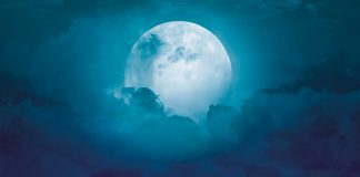 Autor Victor S. Coelho lança livro de ficção "Warp: Portals"