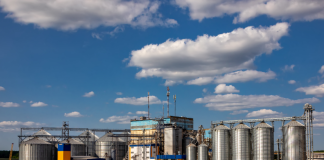 Contratação de frete marítimo no agronegócio registra crescimento desde 2023