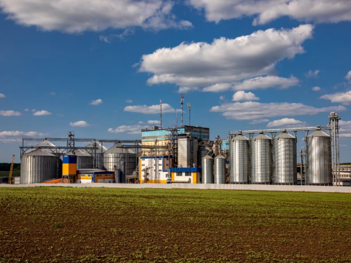 Contratação de frete marítimo no agronegócio registra crescimento desde 2023 Contratação de frete marítimo no agronegócio registra crescimento desde 2023