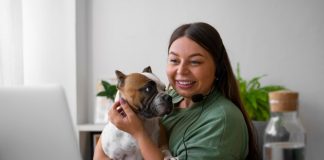 Telemedicina veterinária facilita atendimento a pets