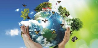 Dia Mundial do Meio Ambiente é celebrado em 5 de junho