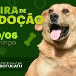 Botucatu: Feirinha de Adoção de Cães será no dia 9 de junho