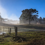 Botucatu: Maio termina com mínima de 8°