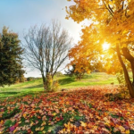 Botucatu em Veranico: Massa de Ar seco mantém temperaturas elevadas nos próximos dias