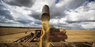 Falta de clareza na lei antidesmatamento europeia preocupa agroexportadores