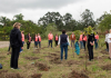 Avène e CBVela plantam mais de 400 árvores Avène e CBVela plantam mais de 400 árvores