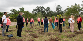Avène e CBVela plantam mais de 400 árvores