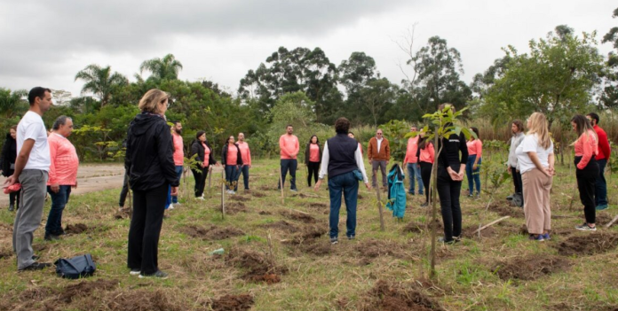 Avène e CBVela plantam mais de 400 árvores Avène e CBVela plantam mais de 400 árvores