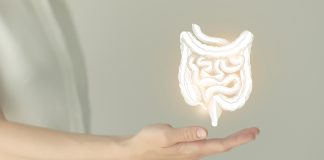 O microbioma humano é celebrado em 27 de junho