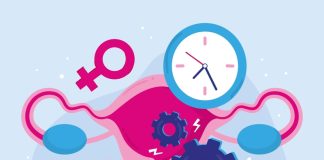 Teste Proov Predict afere melhores dias para tentar gravidez