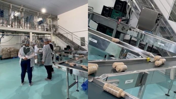 Felps Professional marca 10 anos com expansão global Felps Professional marca 10 anos com expansão global