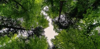 ESG traz desafios para o mercado corporativo