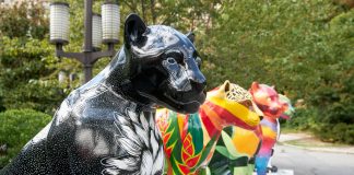 Jaguar Parade RIO inicia pinturas ao vivo no Rio de Janeiro