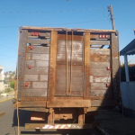 Polícia Civil de Botucatu desarticula quadrilha especializada em furto de bovinos