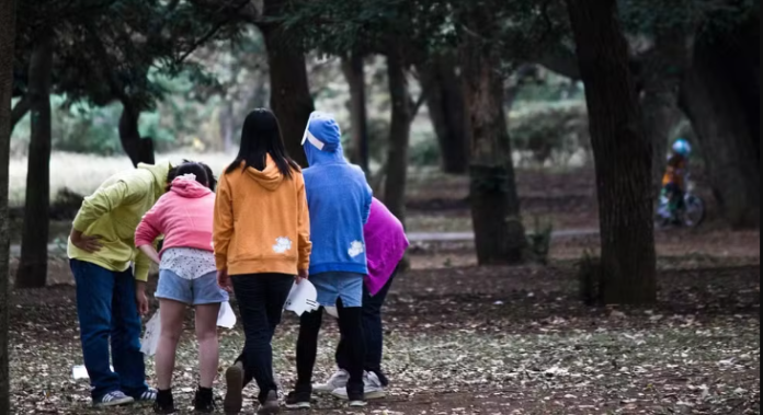 curso-ferias-sao-manuel-070624
