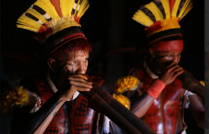 Exposição  Exposição