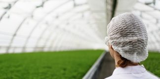 Receita da indústria de alimentos cresce 7,2% em 2023 Receita da indústria de alimentos cresce 7,2% em 2023