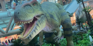 Exposições temáticas da King Eventos são opções para férias escolares