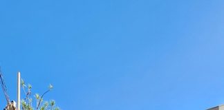 Varejista de kimonos abre loja física após 13 anos on-line Varejista de kimonos abre loja física após 13 anos on-line