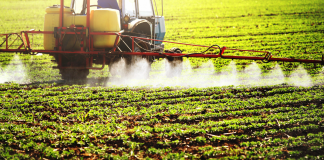 Publicação aponta uso de pesticidas em alimentos infantis