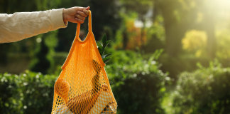 Estudo revela tendências de consumo sustentável