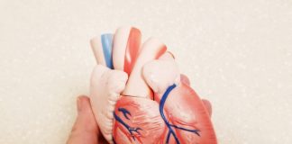 Cateterismo cardíaco esquerdo aprimora diagnósticos