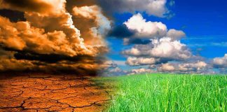 Aceleração das mudanças climáticas provoca impactos ambientais sem precedentes Aceleração das mudanças climáticas provoca impactos ambientais sem precedentes