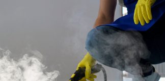 Estofados, tapetes e cortinas podem esconder mofo e bolor