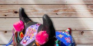 Taubaté representa São Paulo no 18° Salão de Artesanato