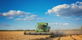 Puxado pelo agronegócio, PIB de Mato Grosso cresce 1.116,2%