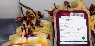 Brasil descarta doações de sangue por falhas de conservação e contaminação