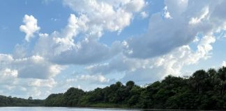 Grupo BBF monitora água de rios e igarapés na Amazônia