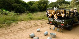 Viajar em lua de mel é opção para 73% dos casais brasileiros Viajar em lua de mel é opção para 73% dos casais brasileiros