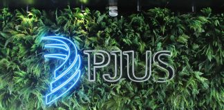 PJUS apresenta atualização da marca e novo site PJUS apresenta atualização da marca e novo site