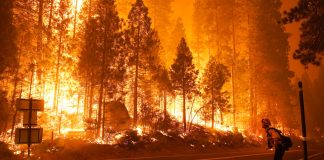Dia Nacional de Combate à Poluição é celebrado em 14 de agosto