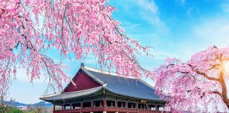 K-pop e K-dramas estimulam aprendizado do coreano no Brasil