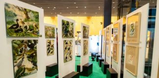 Exposição O Legado Suíço na Amazônia ocorre em Florianópolis