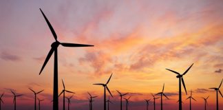 Eólica Offshore pode ser indutor da descarbonização no país Eólica Offshore pode ser indutor da descarbonização no país