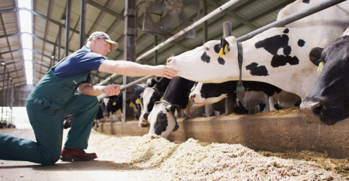 Elanco cresce em receita pelo quarto trimestre consecutivo Elanco cresce em receita pelo quarto trimestre consecutivo