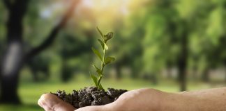 Desktop lança seu primeiro relatório de sustentabilidade